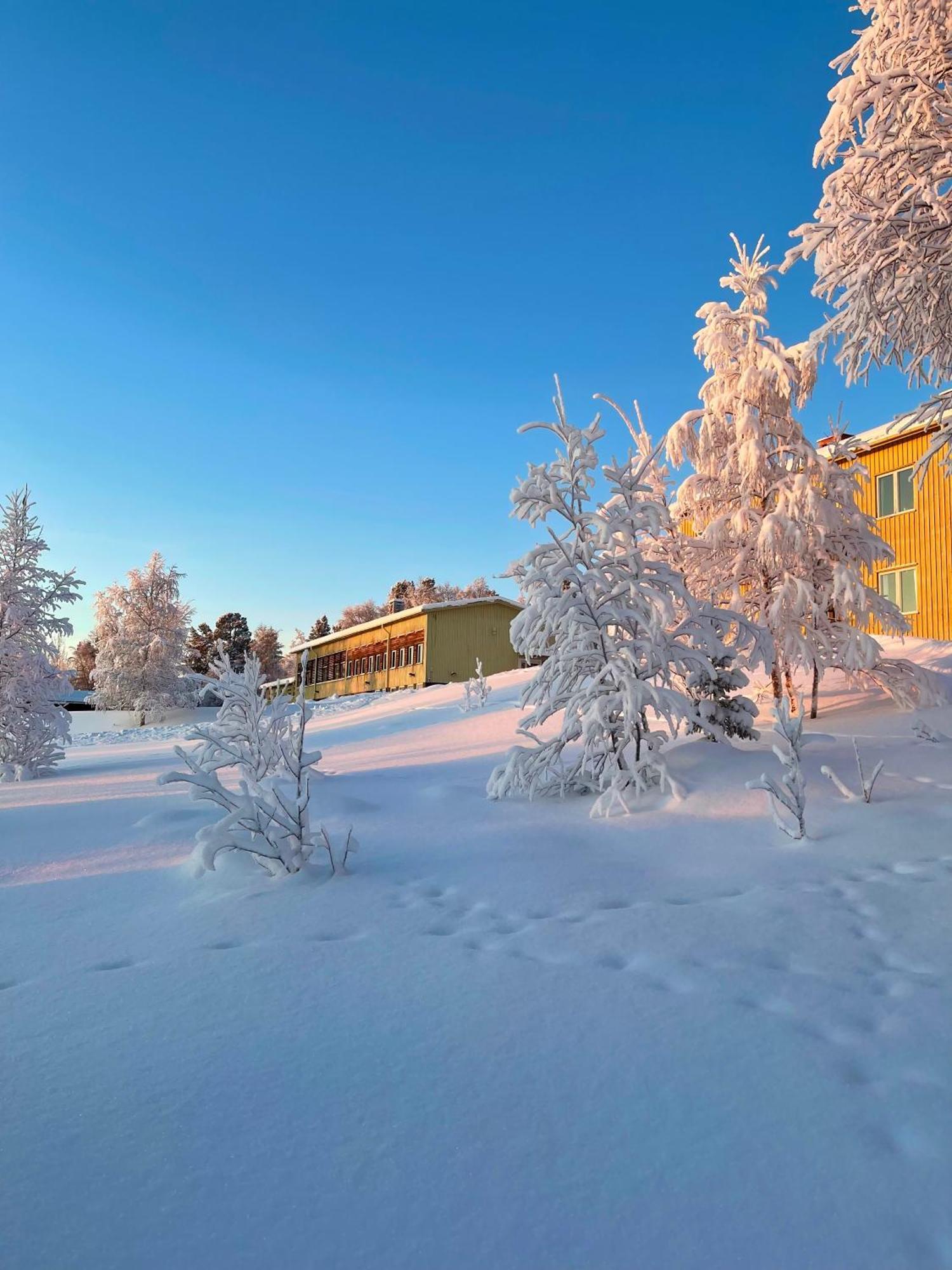 Ailu - Arctic Hotel Apartments Lannavaara Exteriör bild